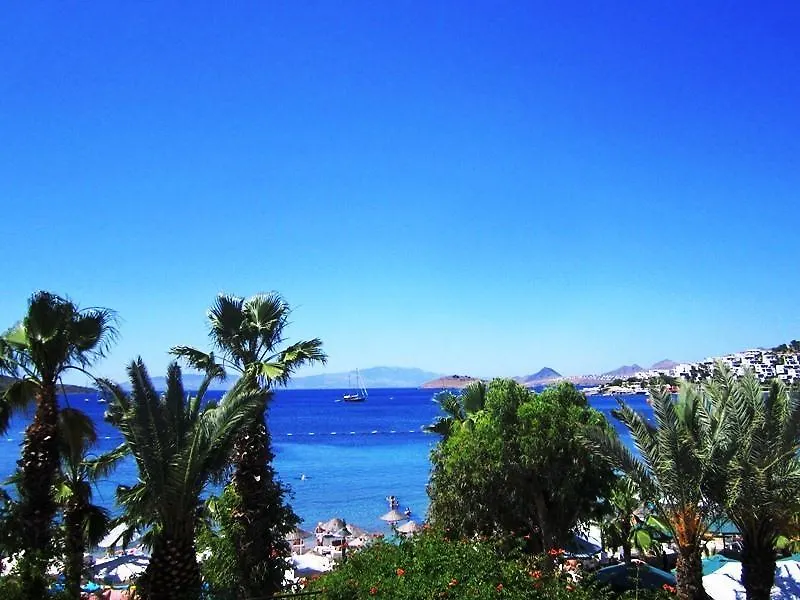 Bitez Deniz Hotel contacts